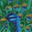 Предпросмотр схемы вышивки «павлин» (№1760529)