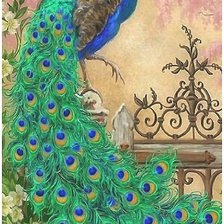 Схема вышивки «павлин»