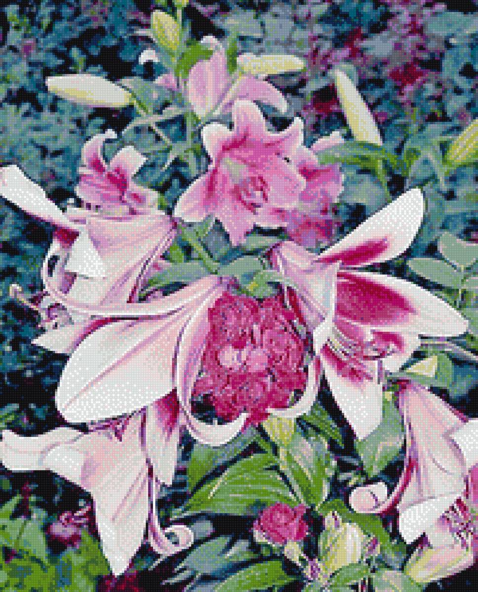 розовые лилии - предпросмотр