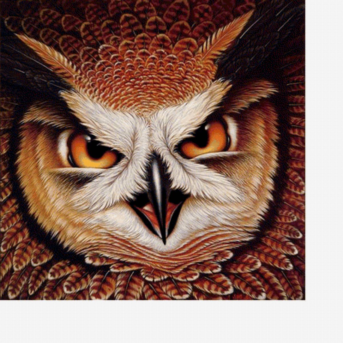 Филин - птицы - предпросмотр