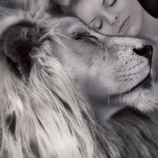 Схема вышивки «девушка и лвица»