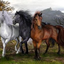 Схема вышивки «3 лошадки»