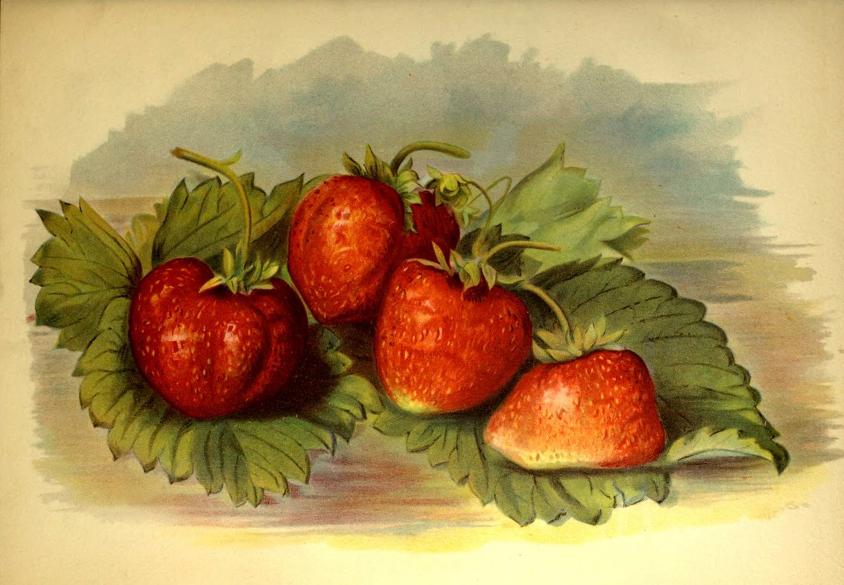 №1761447 - оригинал