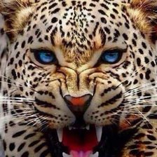 Схема вышивки «№1761619»