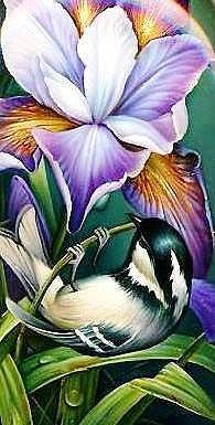 синичка на ирисе - оригинал