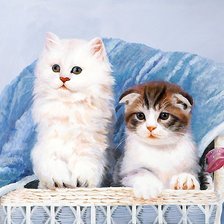 Схема вышивки «котята»