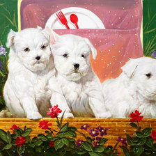 Схема вышивки «кутята»