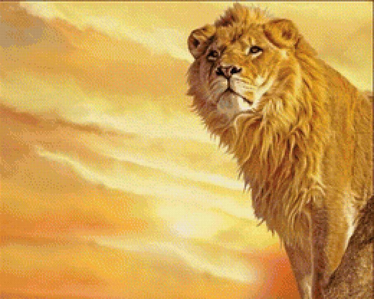 Природное величие - львы, животные - предпросмотр