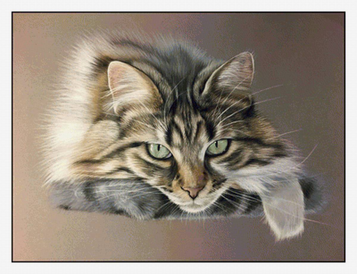 Серия "Коты". - животные, коты - предпросмотр