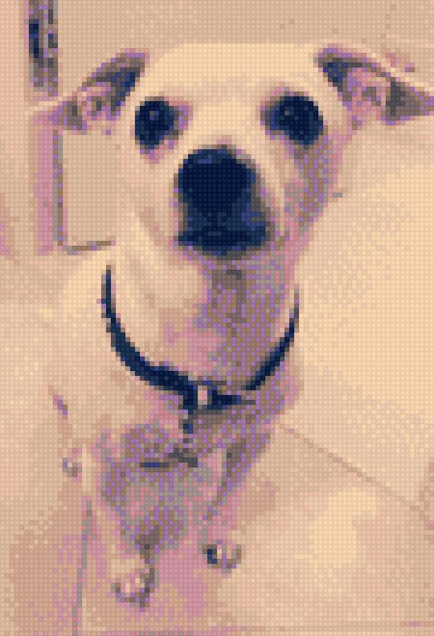 Собачка - предпросмотр