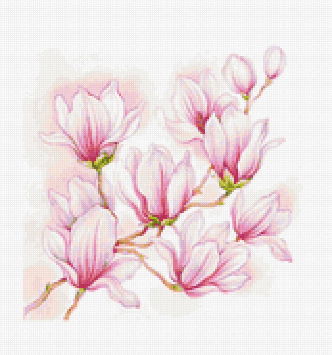 магнолии - предпросмотр