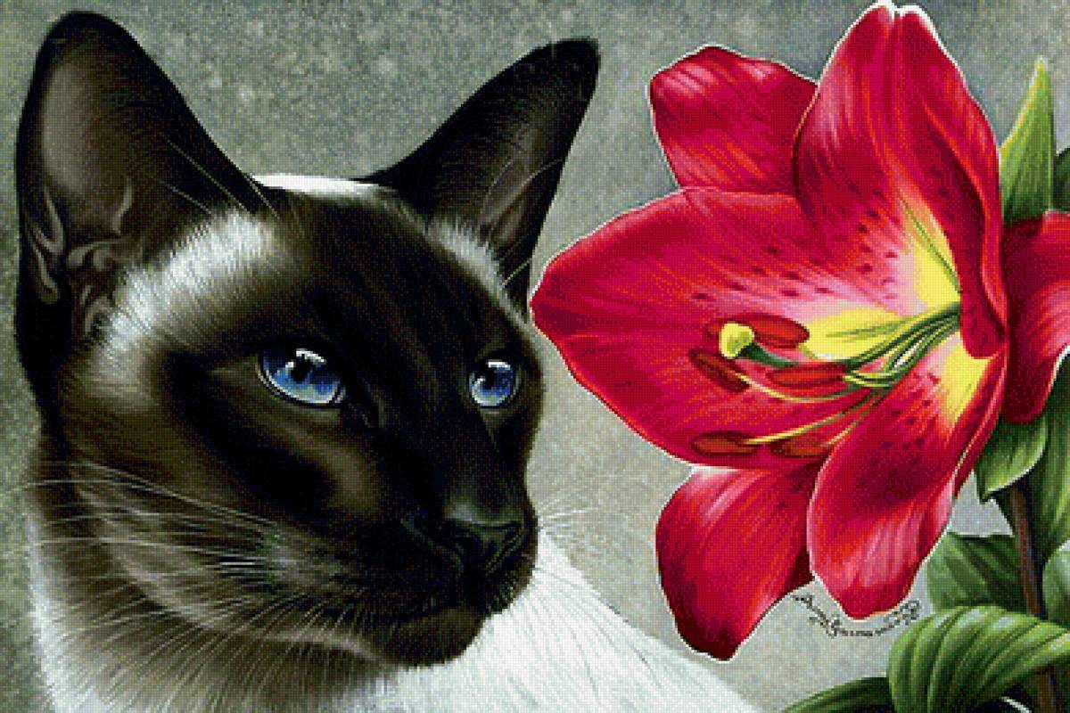 mačka,kvet - предпросмотр