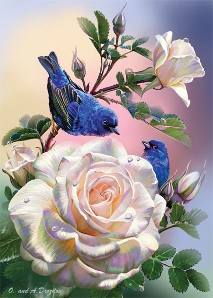 птичка1 - птичка1 - оригинал