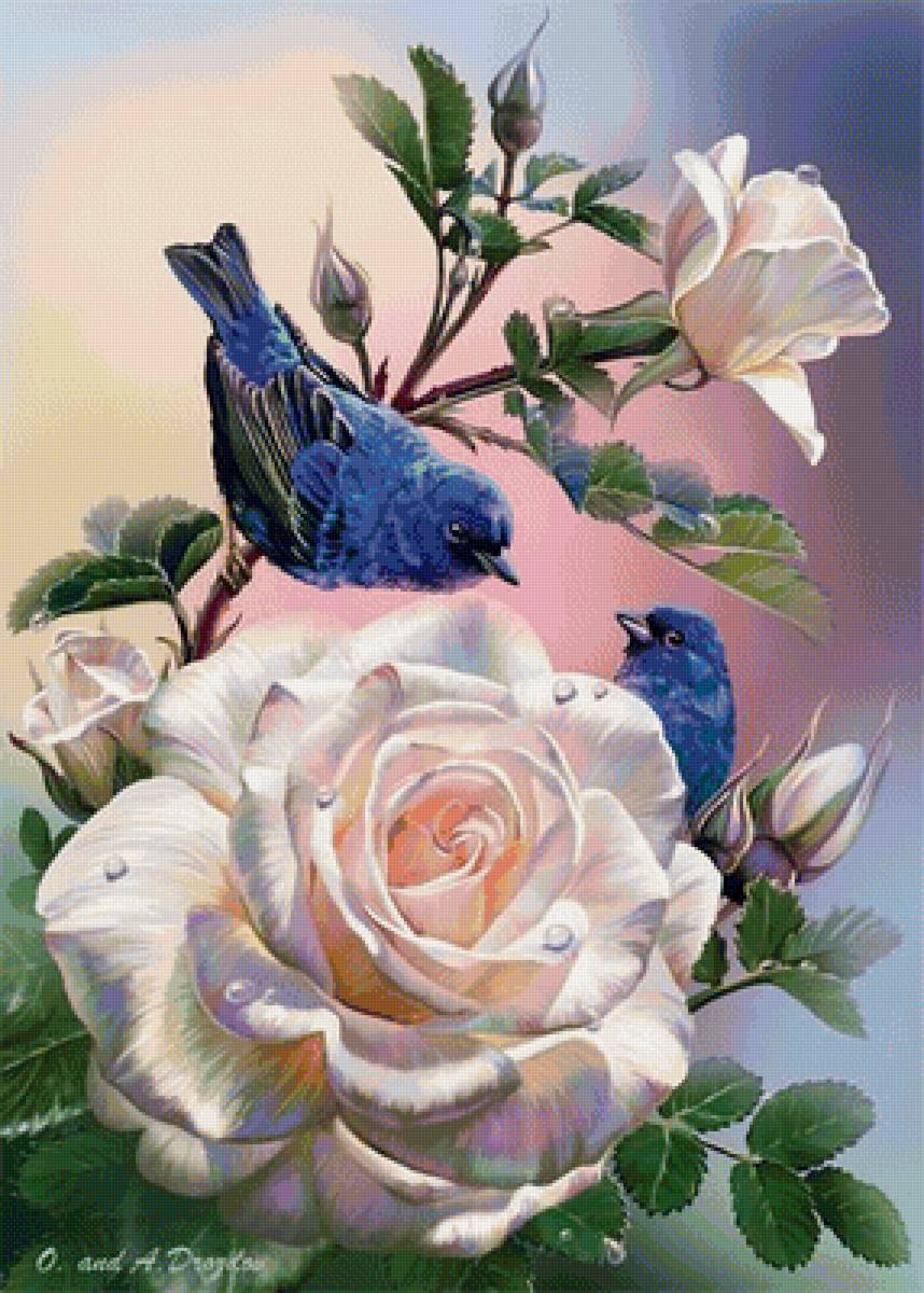 птичка1 - птичка1 - предпросмотр