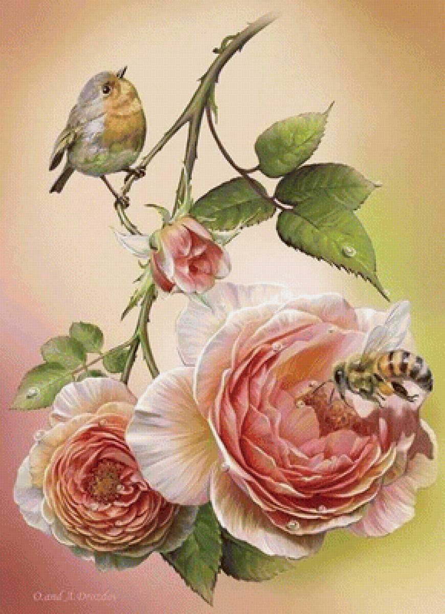 птичка2 - птичка2 - предпросмотр