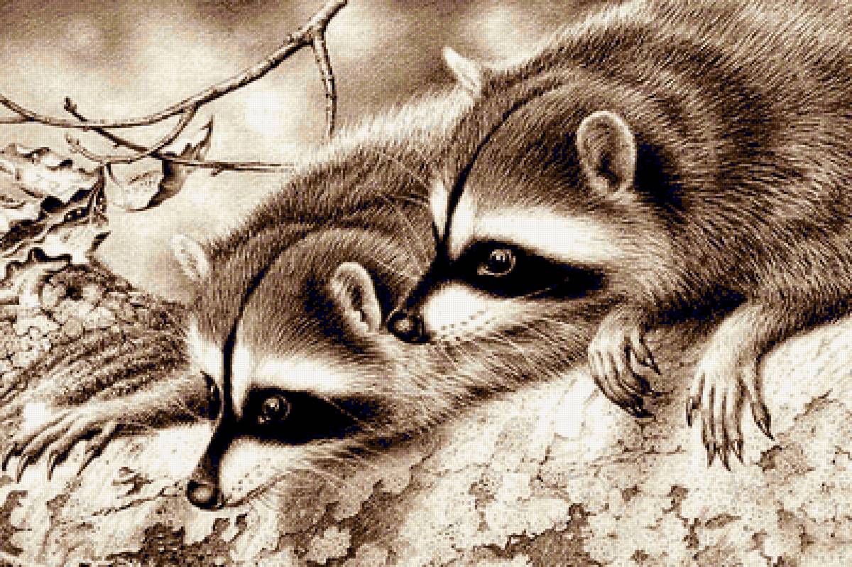 Любопытная парочка - предпросмотр