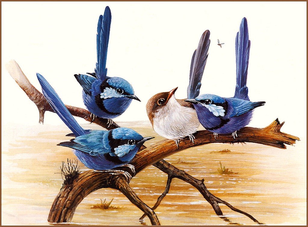 Птицы на ветке - птицы, синие птицы. - оригинал