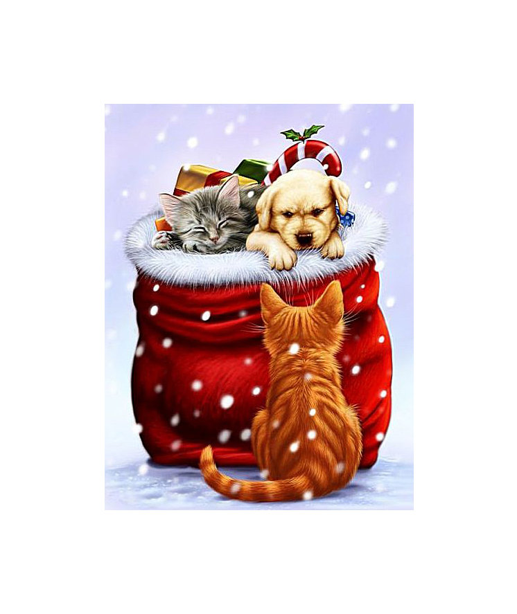 Подарочек! - щенок, котята, подарки - оригинал