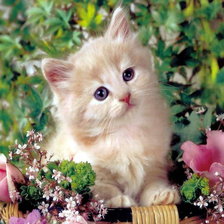 Схема вышивки «№1766737»