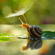 Схема вышивки «Улитка»