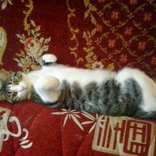 Схема вышивки «кошка Маша»