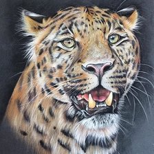 Схема вышивки «№1767023»