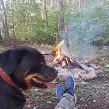 Схема вышивки «Klera»