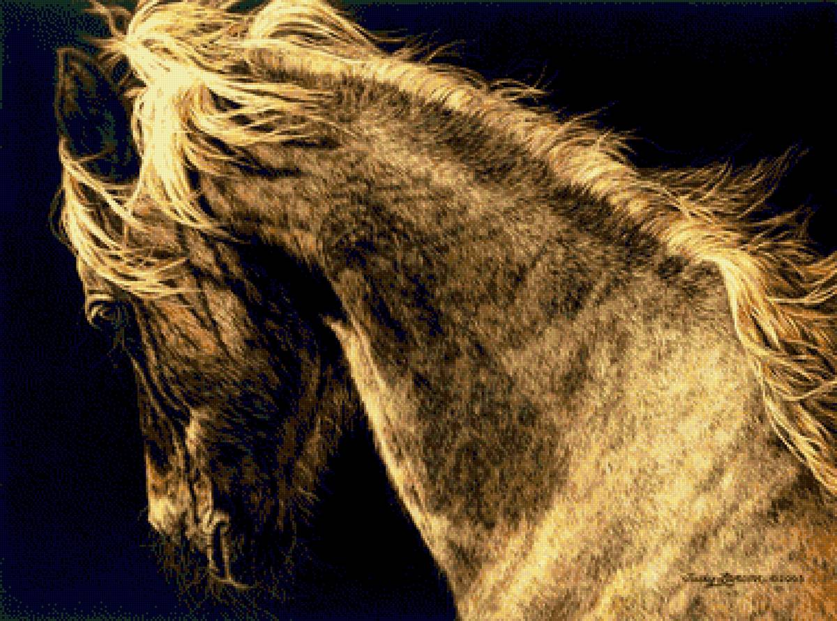 на свободе 3 - свобода, конь, лошадь - предпросмотр