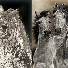 картина, Джуди Ларсон