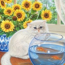 кот и рыбки