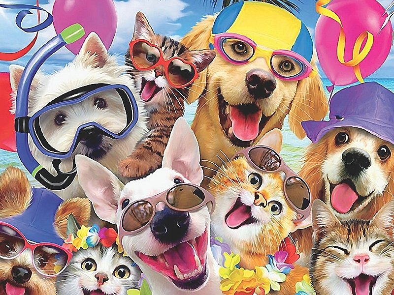 селфи - собаки, коты - оригинал