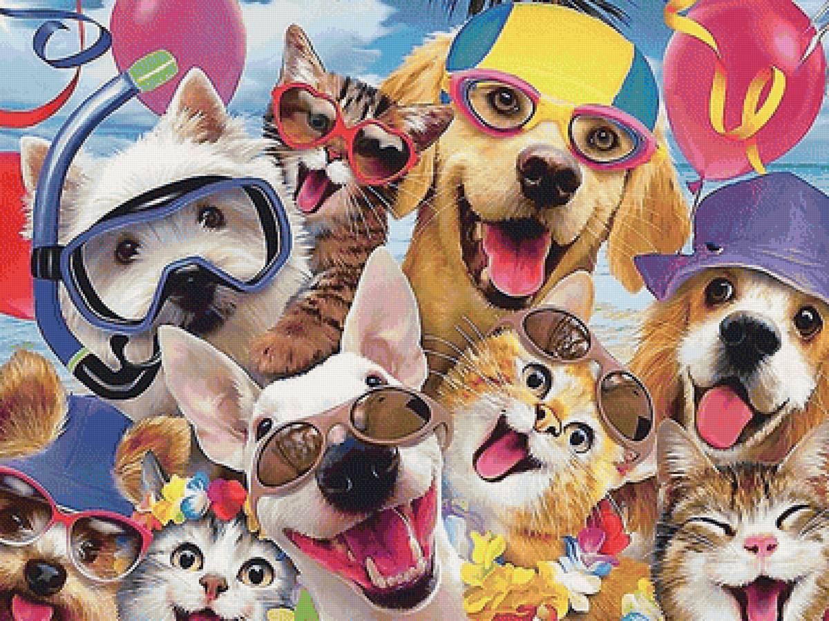 селфи - коты, собаки - предпросмотр