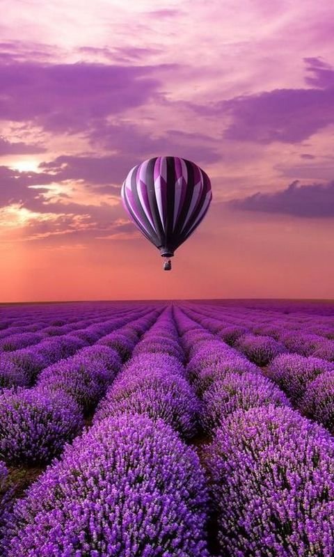 Воздушный шар - оригинал