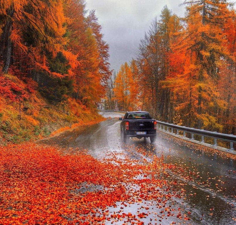 Дорога в осень.. - лес, машина, осень - оригинал
