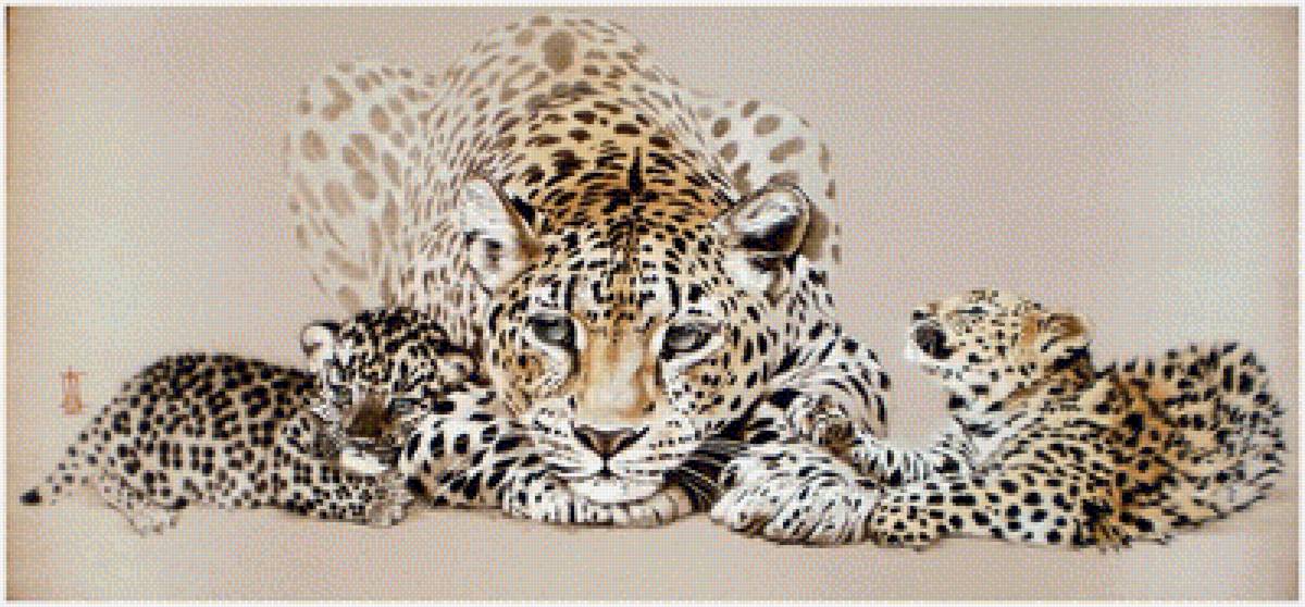 Леопарды - леопарды, животные - предпросмотр