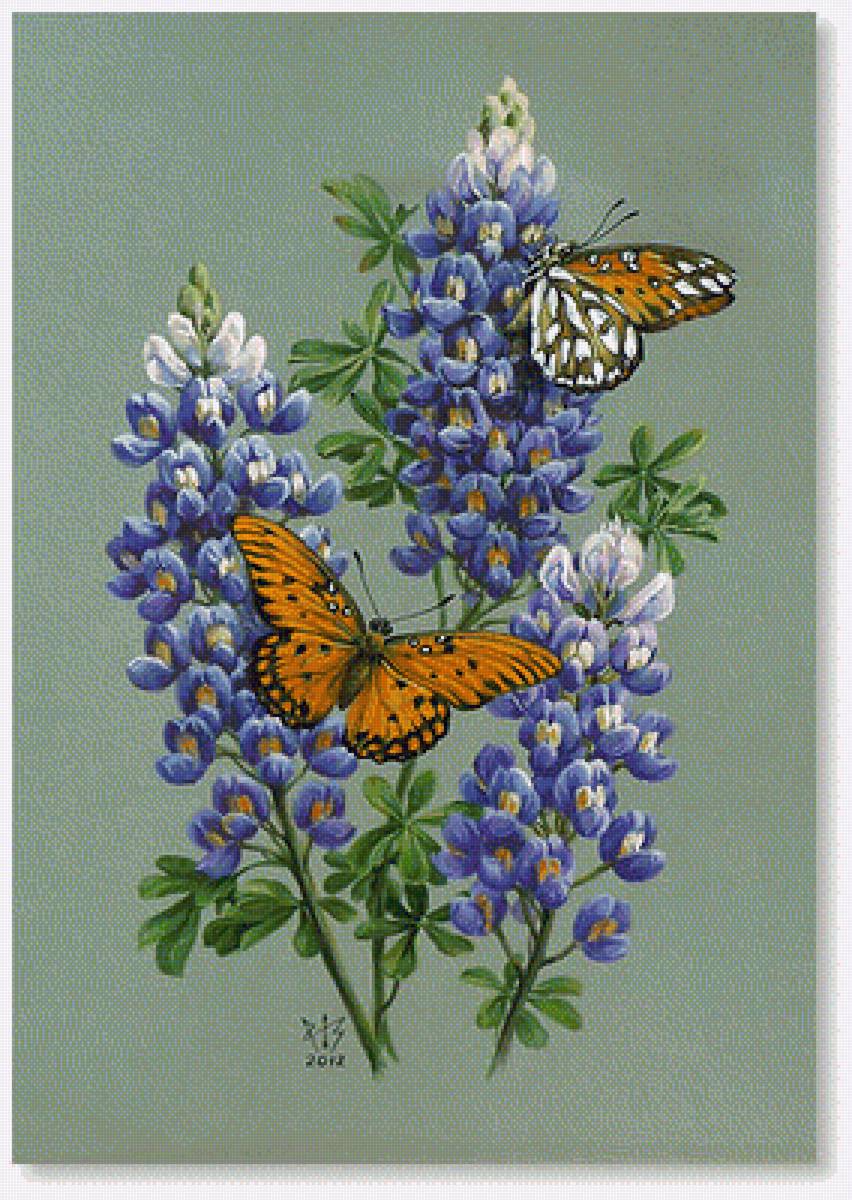 Люпин - цветы, люпин - предпросмотр