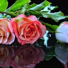 Схема вышивки «цветы»