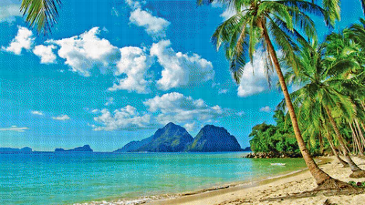 пляж - пальмы, море - предпросмотр