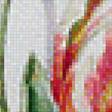 Предпросмотр схемы вышивки «tulipány» (№1768843)