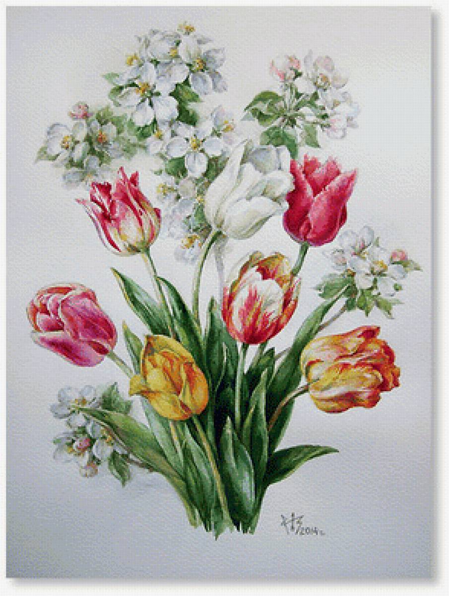 tulipány - предпросмотр