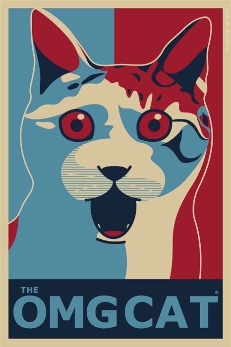 Кот - кот - оригинал