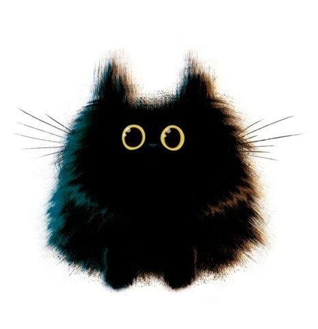 Котик чёрный - кот - оригинал