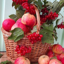 Схема вышивки «ФРУКТЫ»