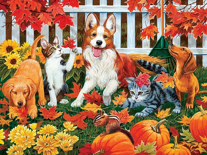 друзья - мир животных - оригинал