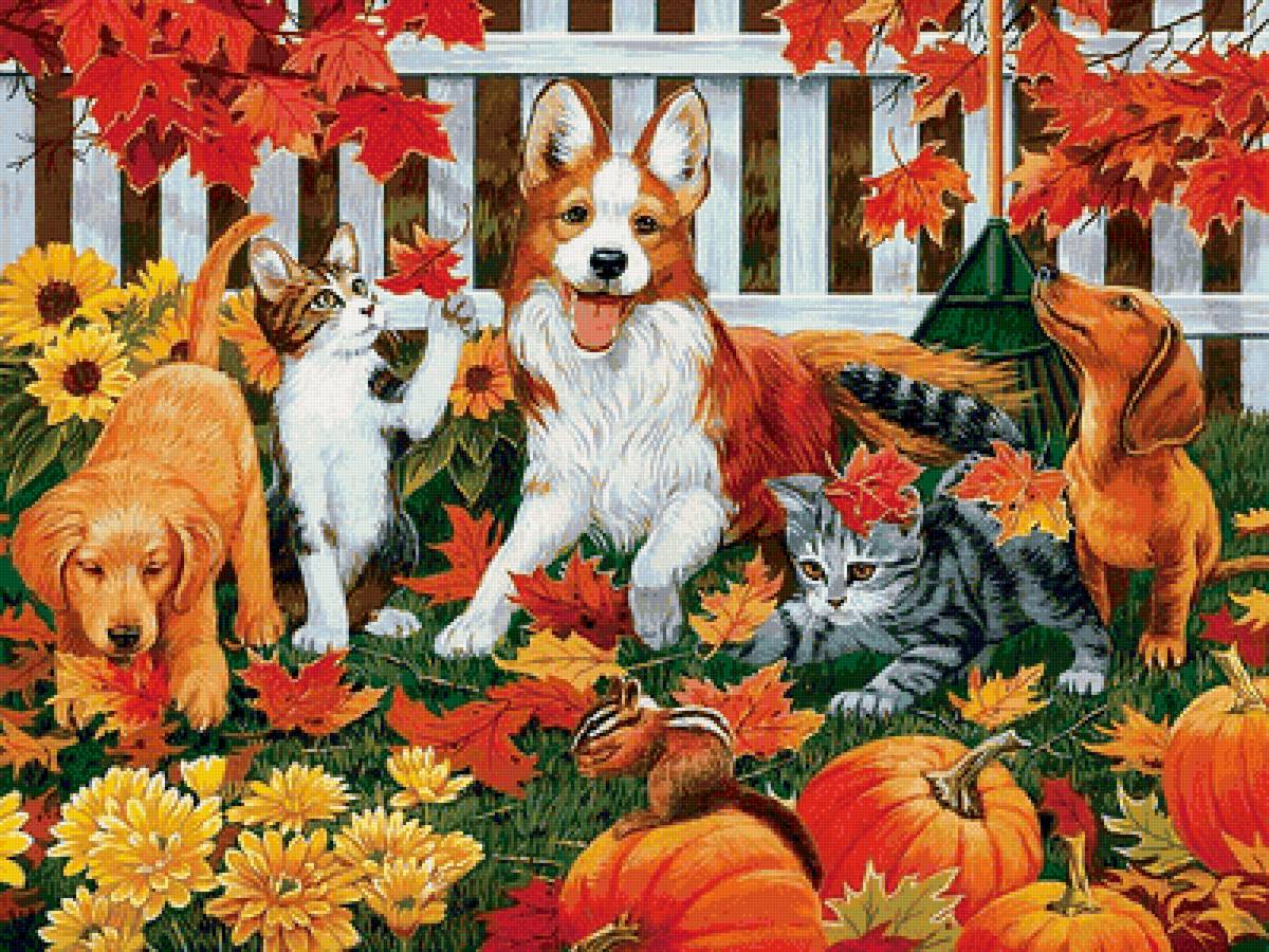 друзья - мир животных - предпросмотр