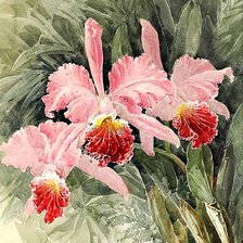 Схема вышивки «Орхидеи.»