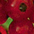 Предпросмотр схемы вышивки «смородина» (№1770965)