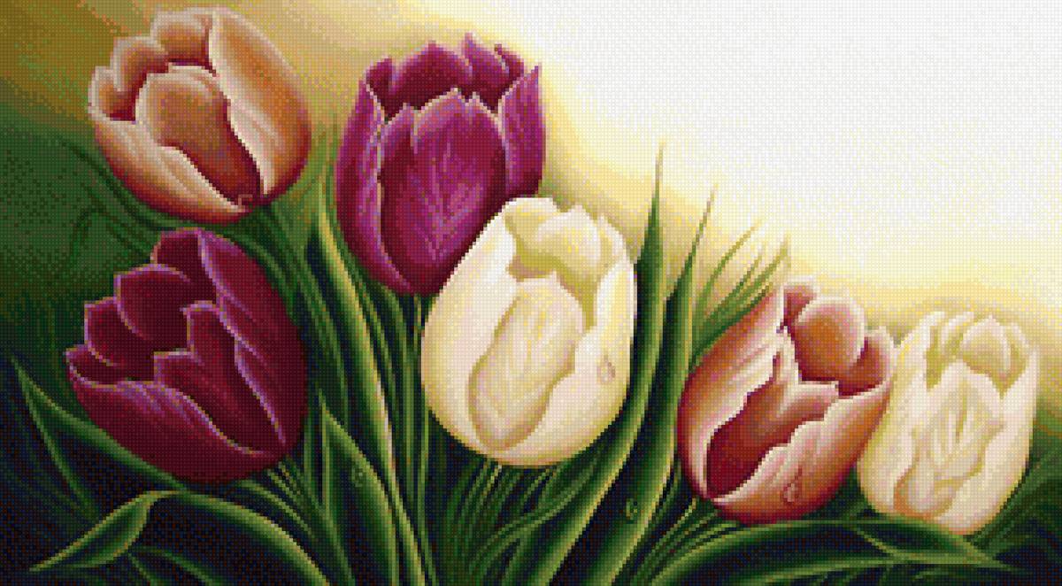 тюльпаны - букет, пионы, цветы - предпросмотр