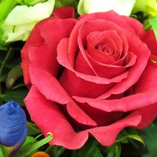 Схема вышивки «розы»