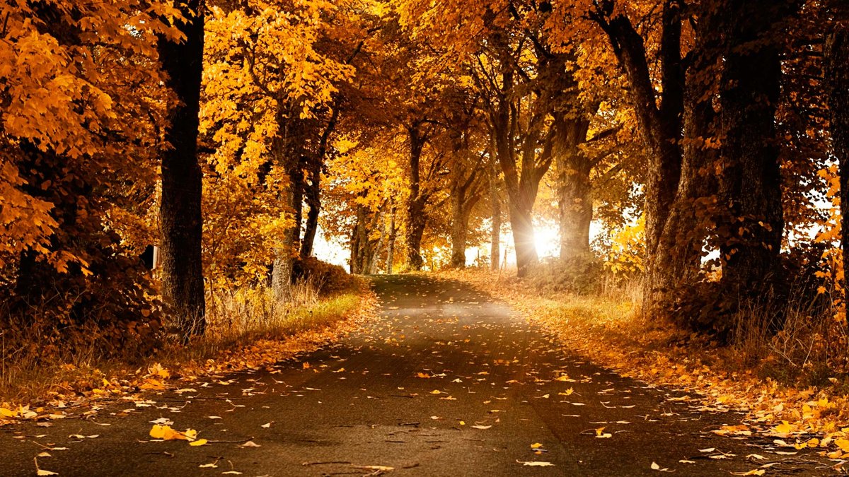 №1771642 - осень, пейзаж, времена года - оригинал